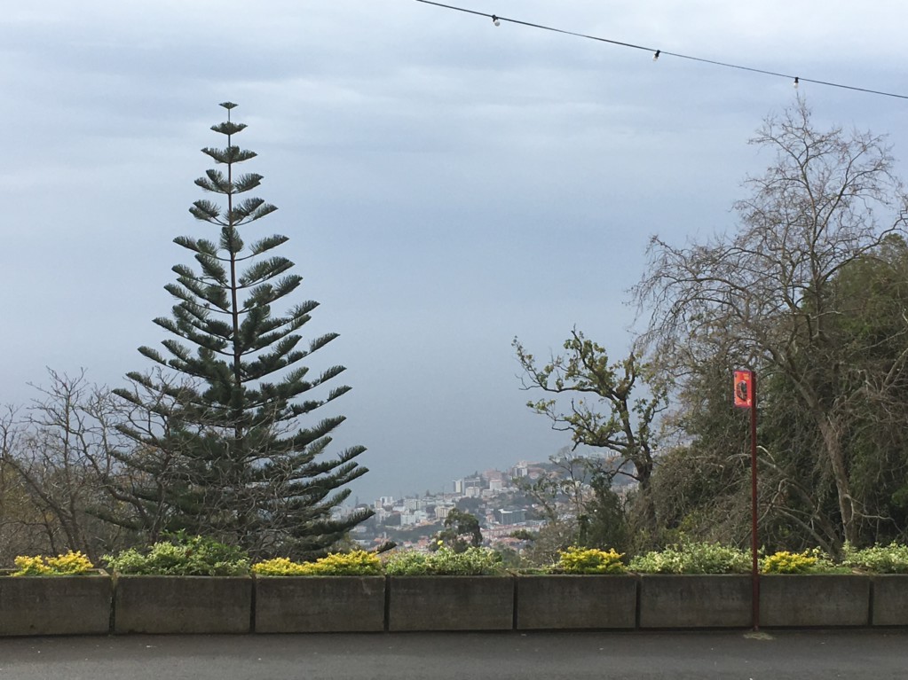 Monte, Madeira: view to Funchal