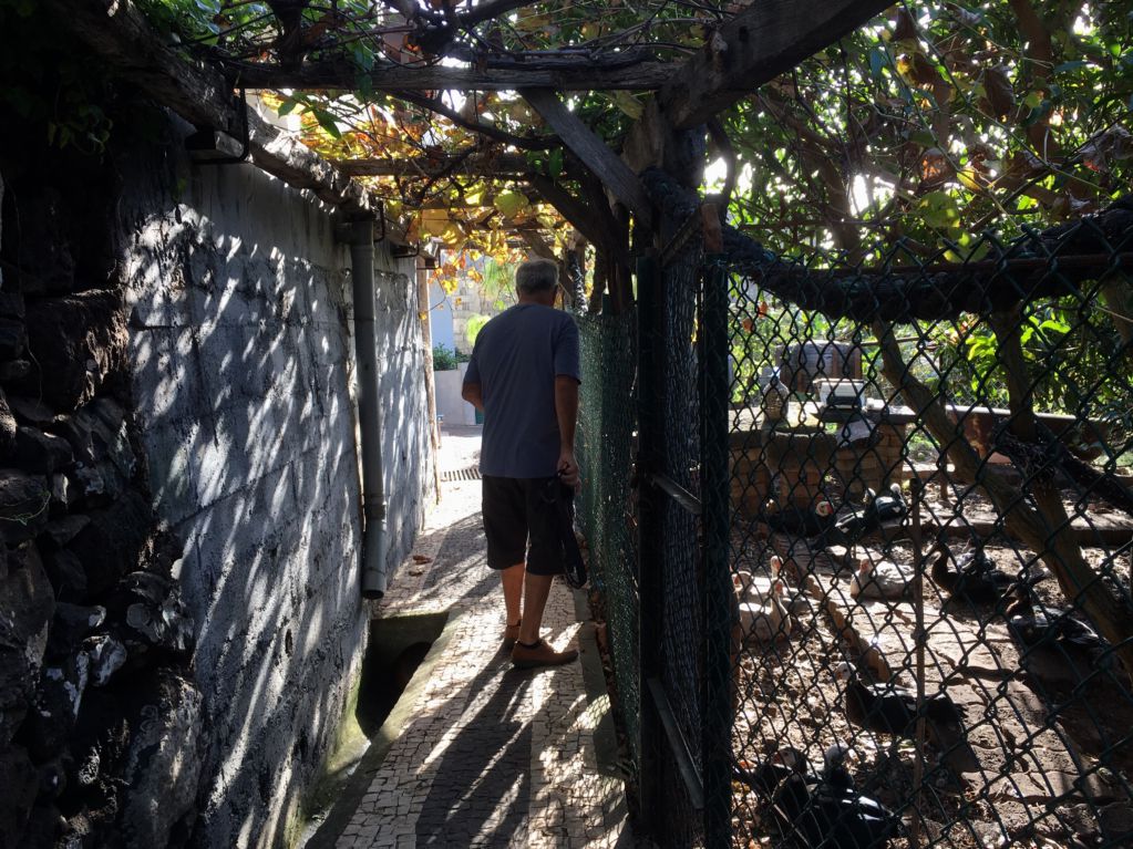 Narrow alley in Jardim do Mar