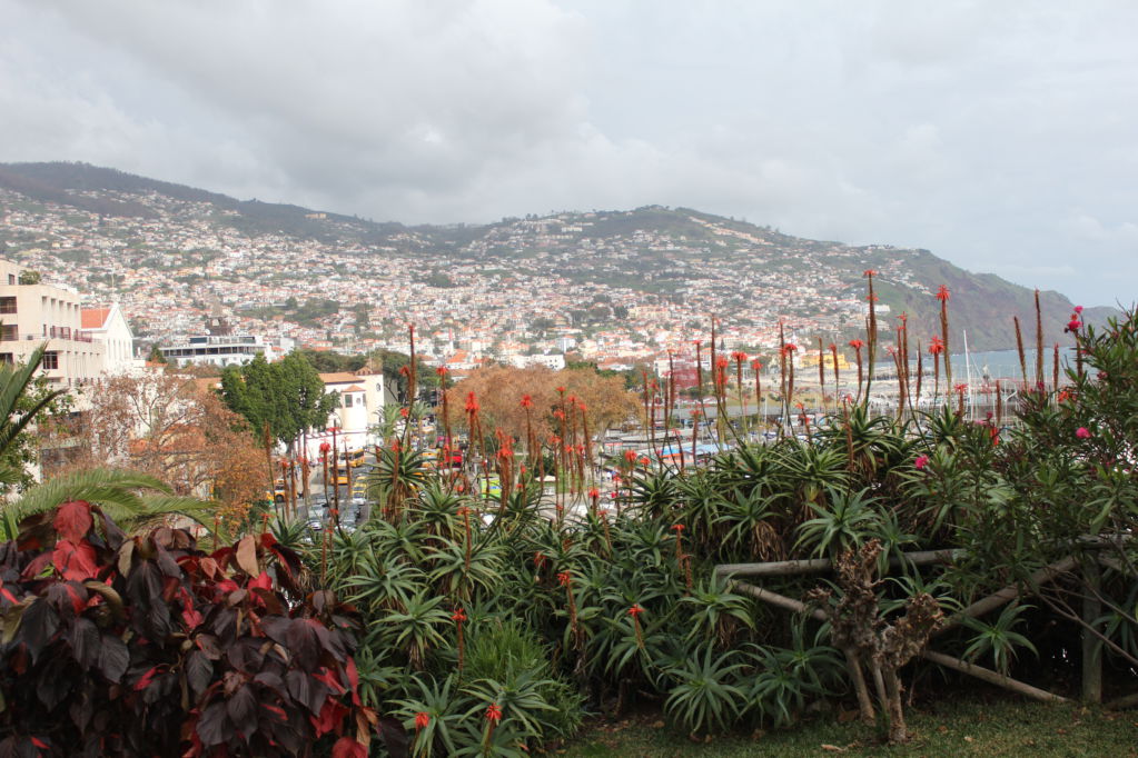Parque de Santa Catarina
