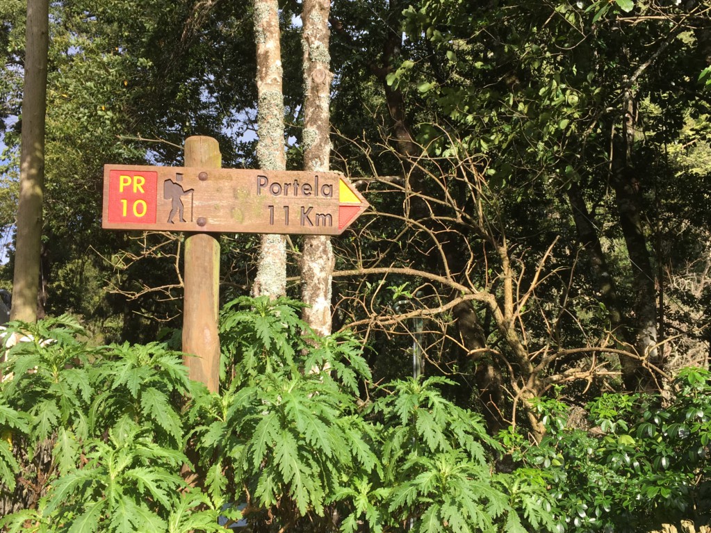 Places to travel at different times of the year, hiking in Madeira