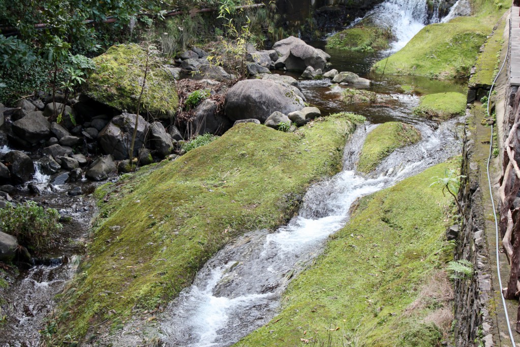 Ribeiro Frio levada walk Central Madeira