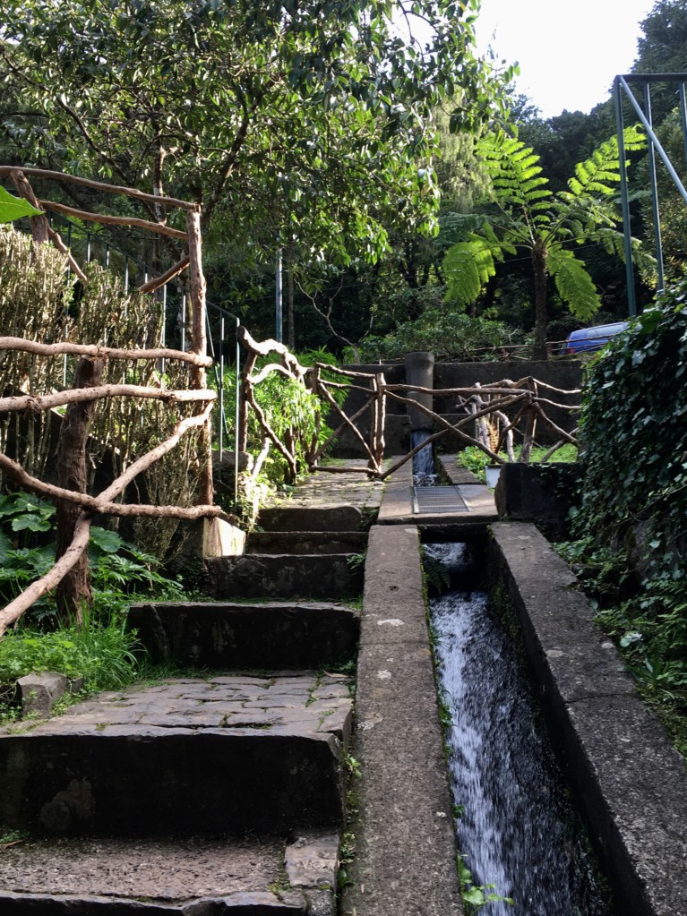 Ribeiro Frio levada, Santana day trip from Funchal