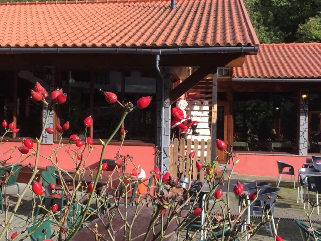 Ribeiro Frio restaurant