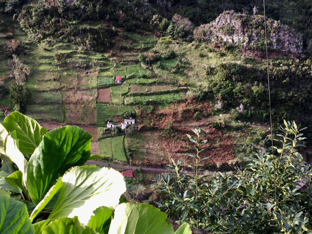 Ribeiro Frio to Faial terraced fields, Santana day trip from Funchal