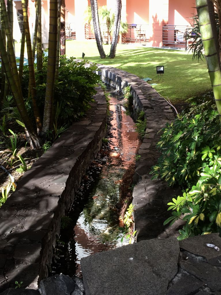 Royal Savoy Funchal garden and levada