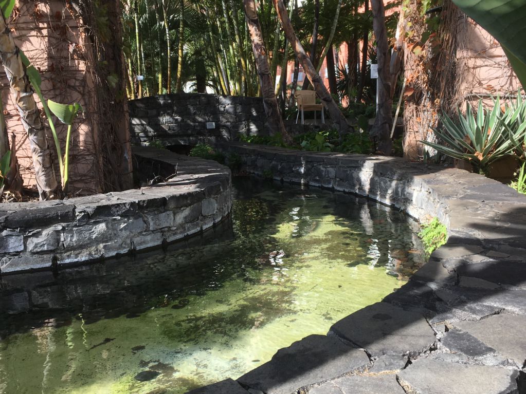Royal Savoy Funchal pool area levada