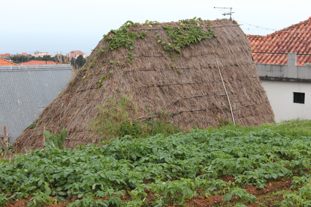 A thached roof, Santana day trip from Funchal