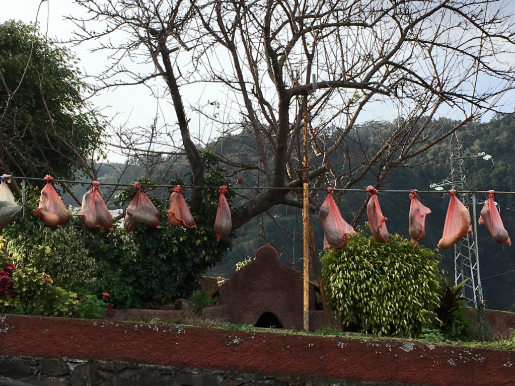 Santana vegetables being dried, Santana day trip from Funchal
