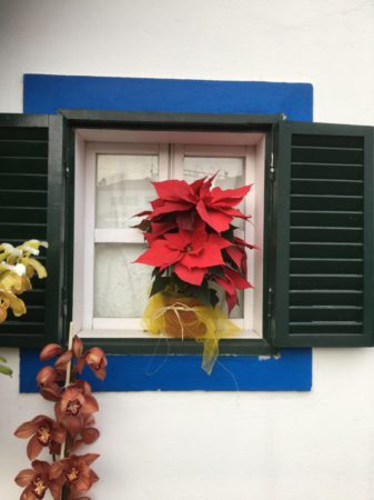 Santana window, Santana day trip from Funchal