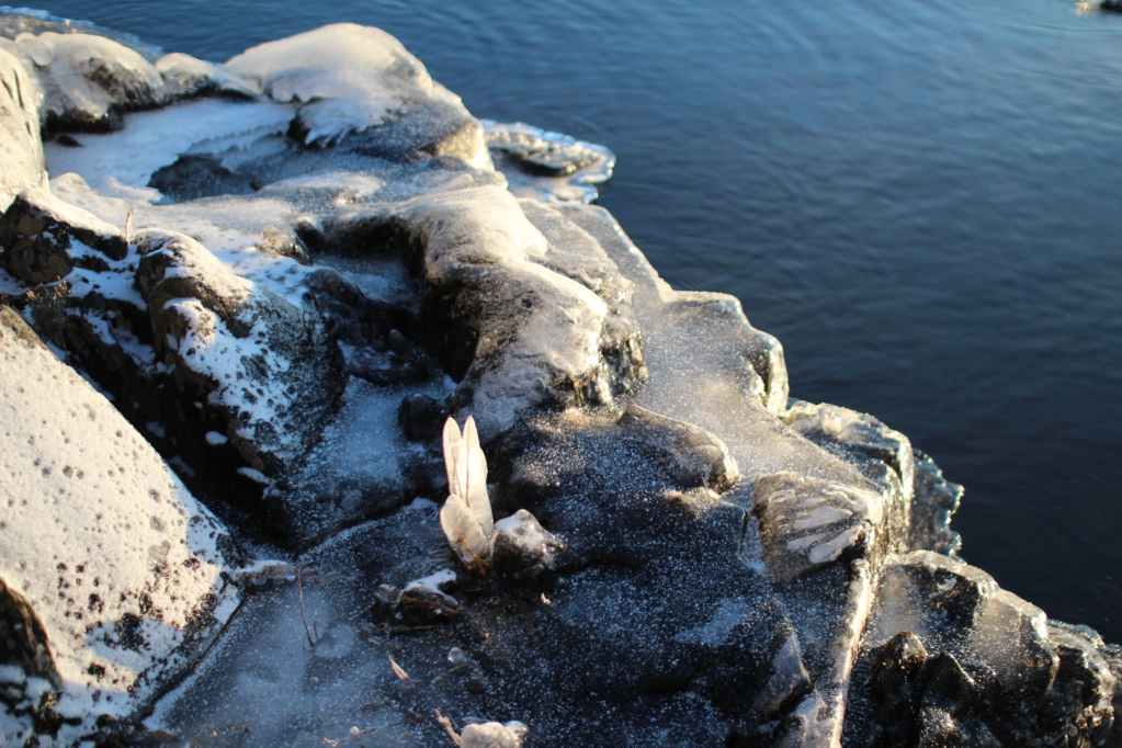 Ice on the lake shore