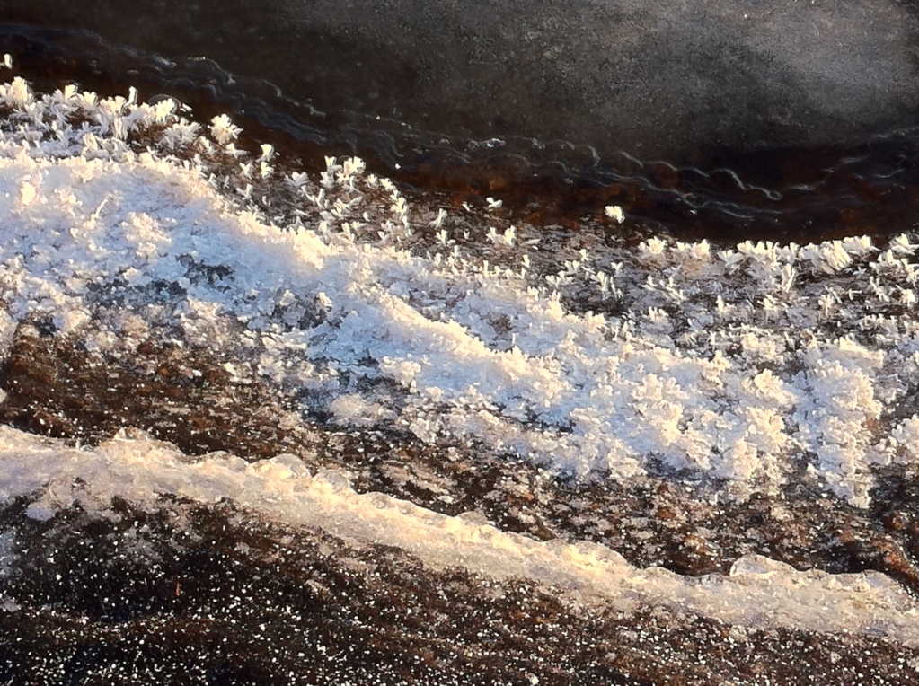 Ice flowers on the Finnish lake shore