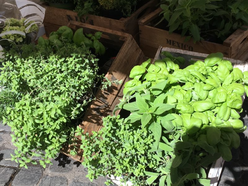 Top 10 Sights in Rome: Campo de' Fiori Top 10 Sights in Rome: Campo de' Fiori