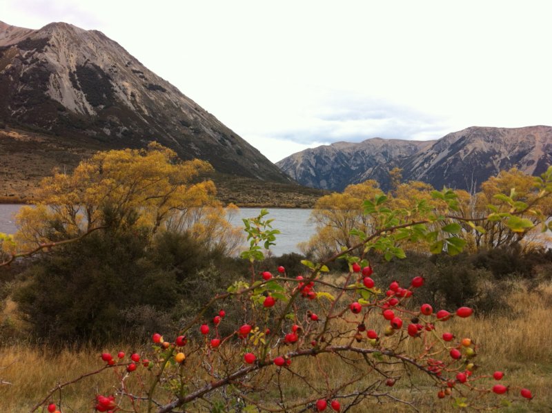Christchurch to Greymouth lake view Christchurch to Greymouth lake view