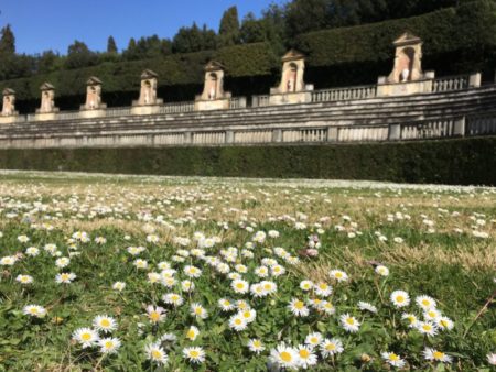 Palazzo Pitti, Florence