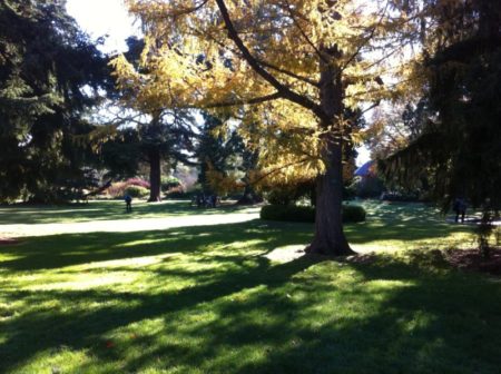 Christchurch Botanic Gardens