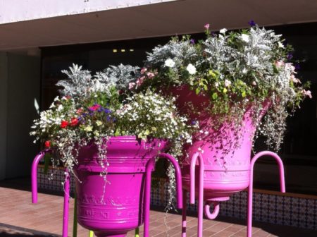 New Regent Street flowers