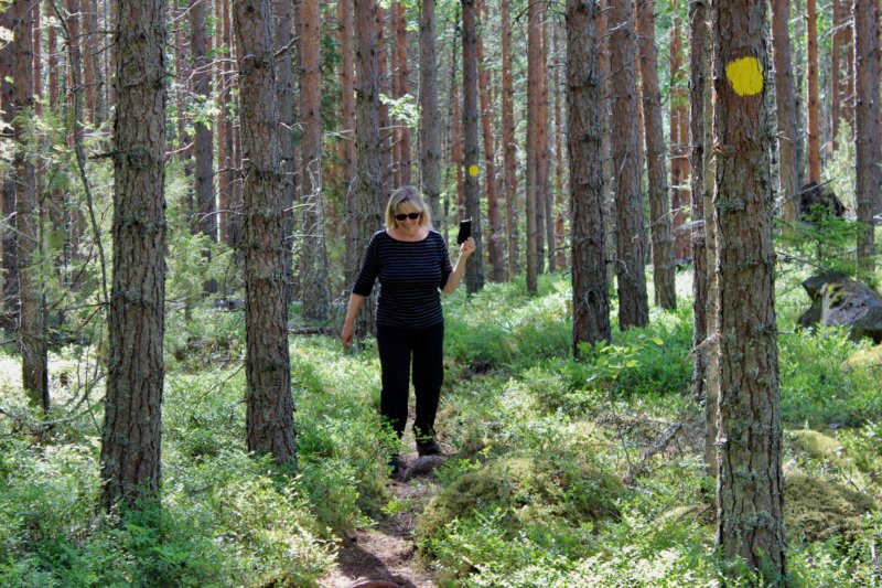 Hiking in Southern Konnevesi National Park Hiking in Southern Konnevesi National Park