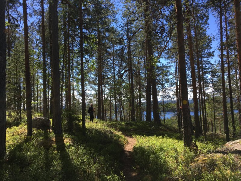 Loukkuvuoren lenkki, Southern Konnevesi Loukkuvuori hike, Southern Konnevesi National Park