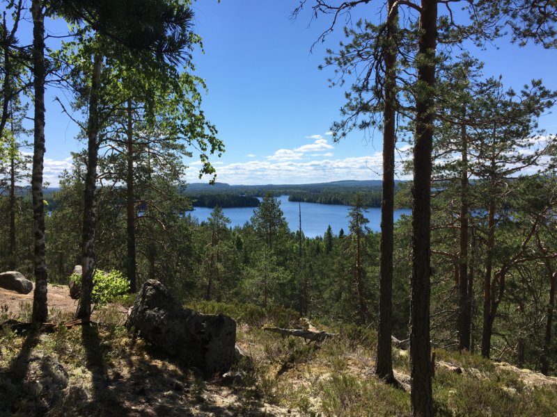 Loukkuvuori, Southern Konnevesi National Park Loukkuvuori trail, Southern Konnevesi National Park