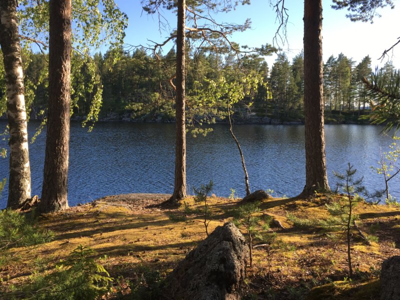 Majaniemi lake view Majaniemi lake view
