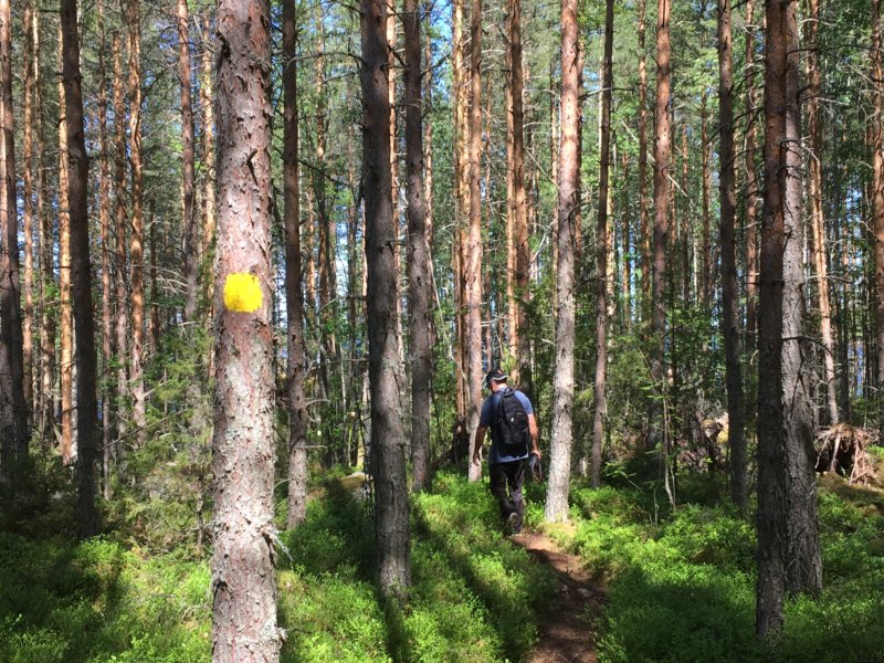 Marked walk in Southern Konnevesi National Park Marked walk in Southern Konnevesi National Park
