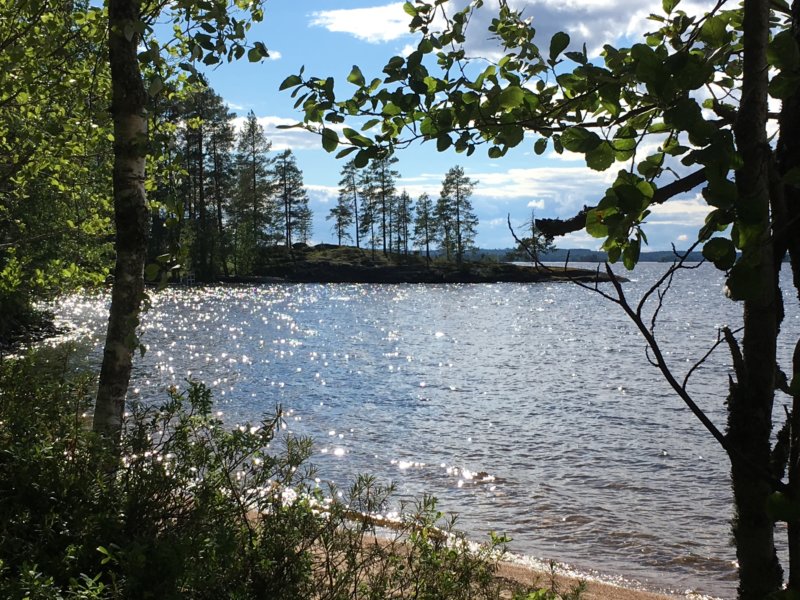 Pyysalo island sandy beach Southern Konnevesi National Park Pyysalo island