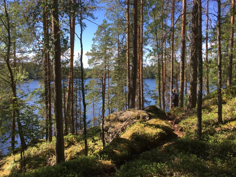 Three Mountains hiking trail, Enonranta Three Mountains trail at Enonranta, Southern Konnevesi National Park