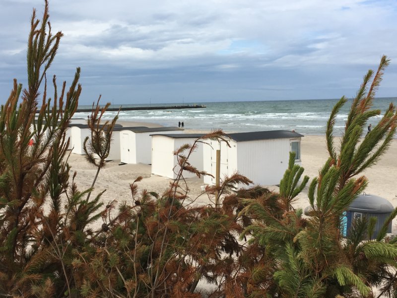Places to visit in Denmark: Lokken Places to visit in Denmark: Lokken