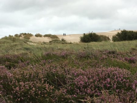 Råbjerg Mile, North Jutland