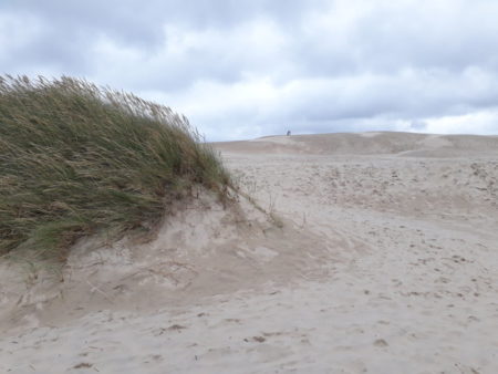 Råbjerg Mile shifting sands