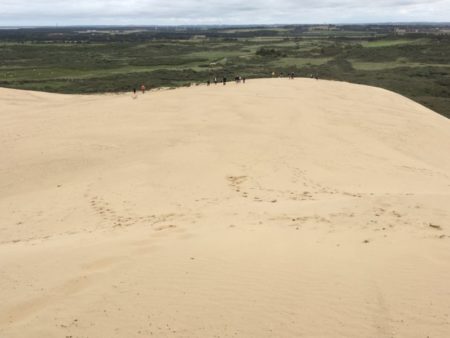 Rubjerg Knude sand dune and hikers
