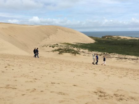 Rubjerg Knude sand dune and hikers