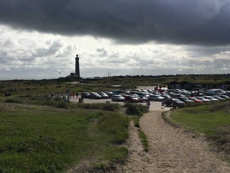 Skagen grå fyr, North Jutland Skagen grå fyr, North Jutland