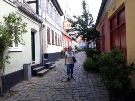 Visiting Aalborg gamle by