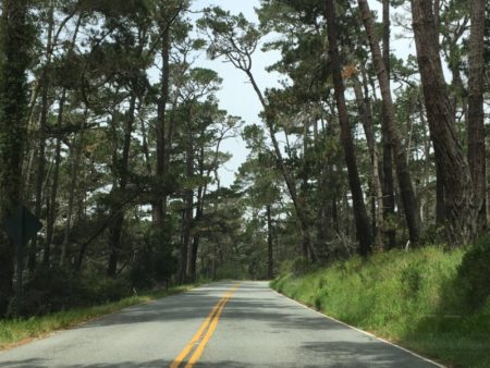 17 Mile Drive from Carmel-by-the-Sea