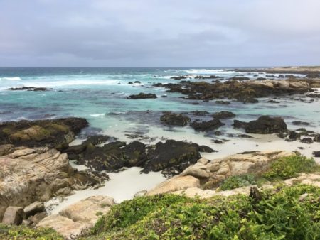 17 Mile Drive Ocean shore