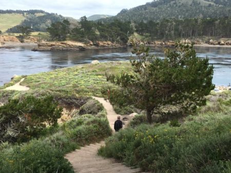 Hiking in Point Lobos State Natural Reserve