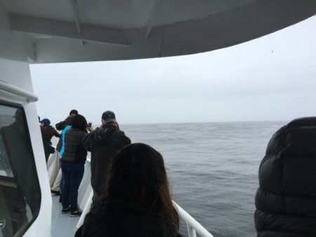 On a Monterey whale watching cruise