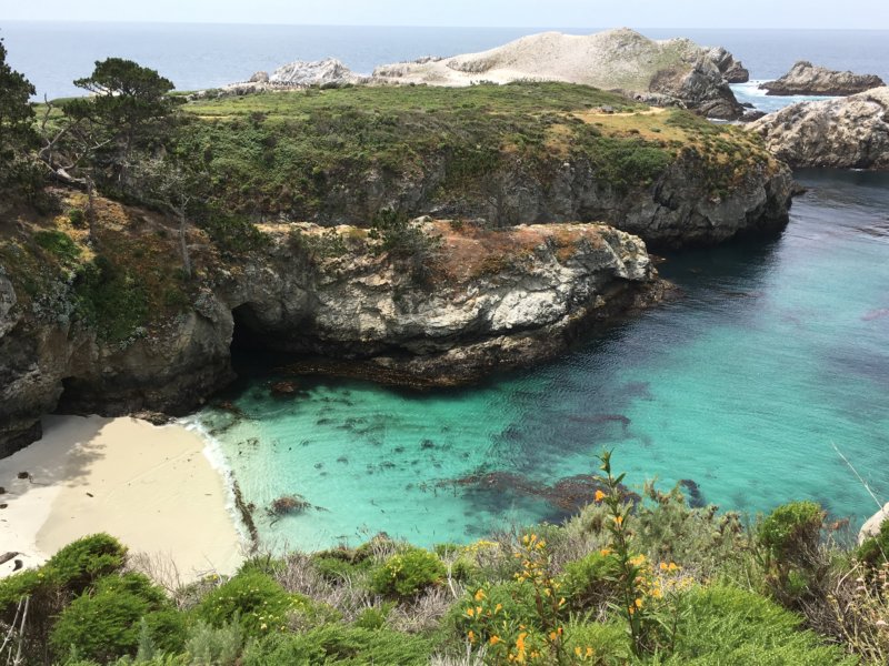 Point Lobos State Natural Reserve seal cove
