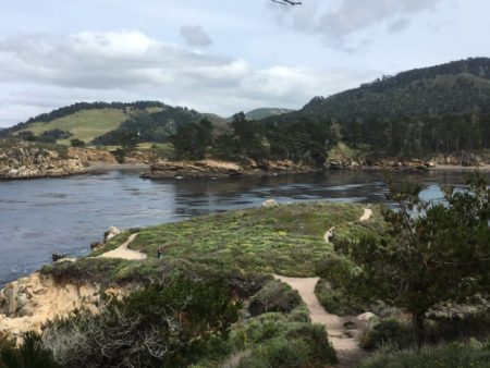 Point Lobos State Natural Reserve hiking track