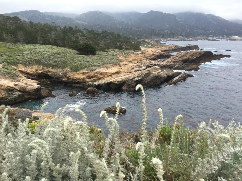 Point Lobos State Reserve view to Big Sur