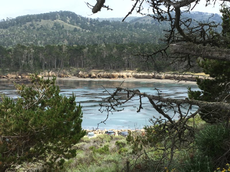 Point Lobos State Natural Reserve