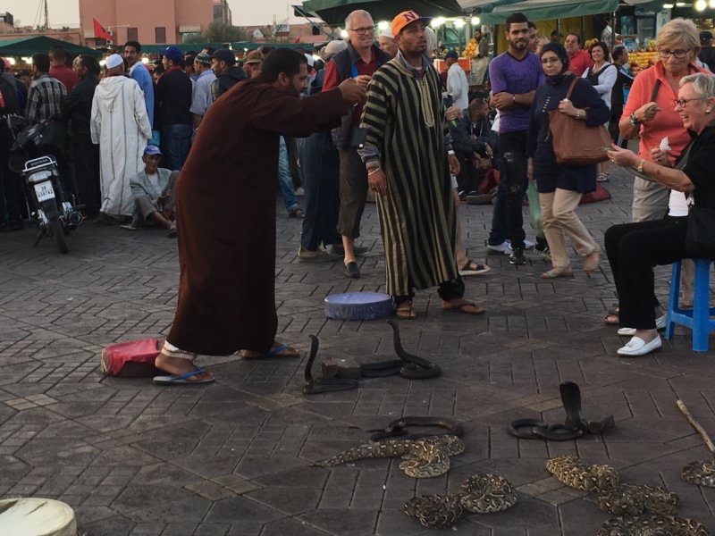 Jemaa el-Fna snake charmer