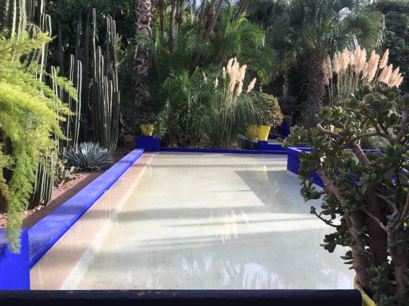 Majorelle Gardens pool