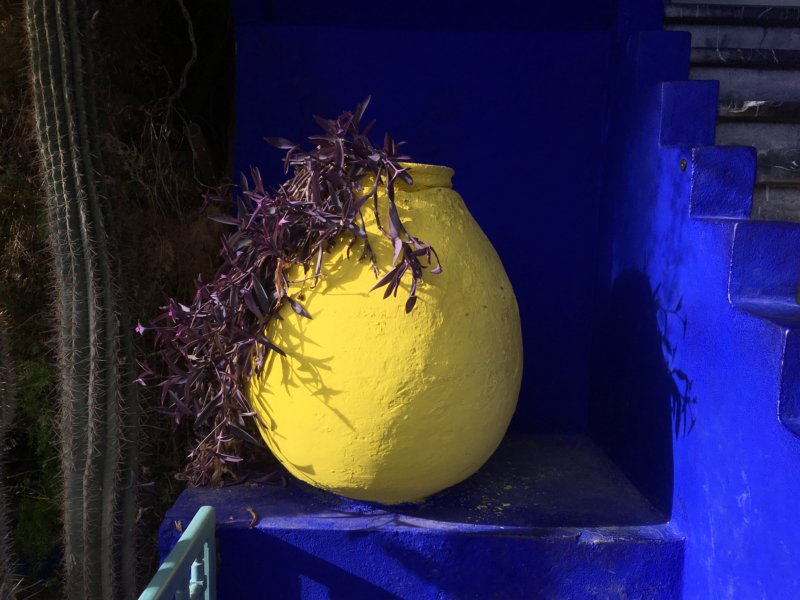 Majorelle Gardens yellow flower pot