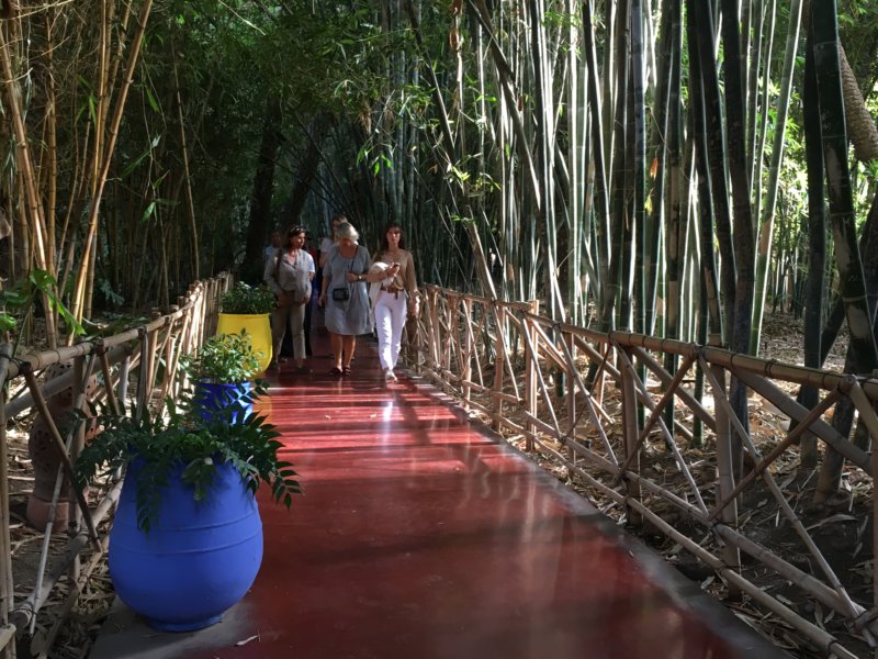 Majorelle Gardens Marrakech Walking in the Majorelle Gardens