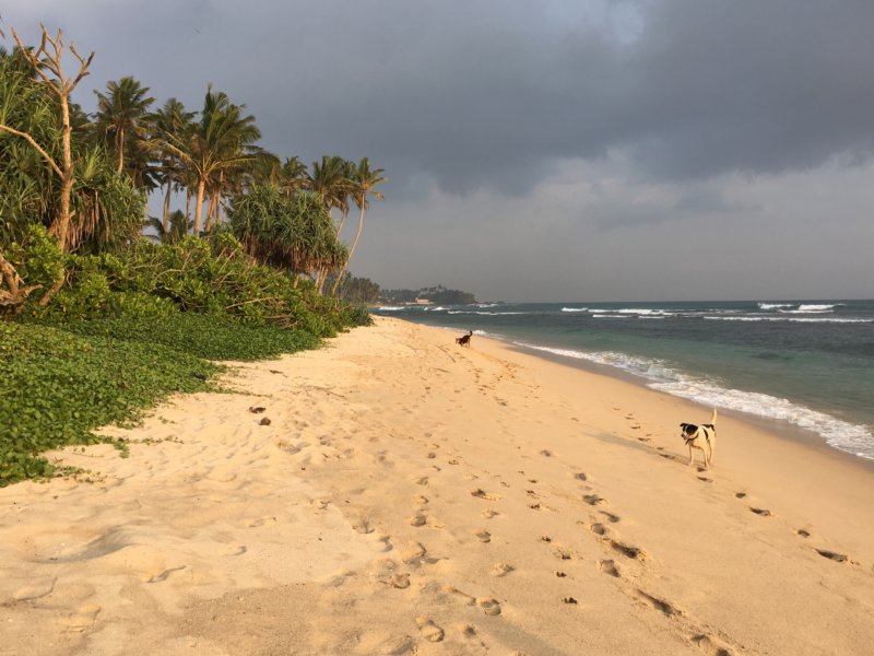Ahangama Beach, Sri Lanka's South Coast