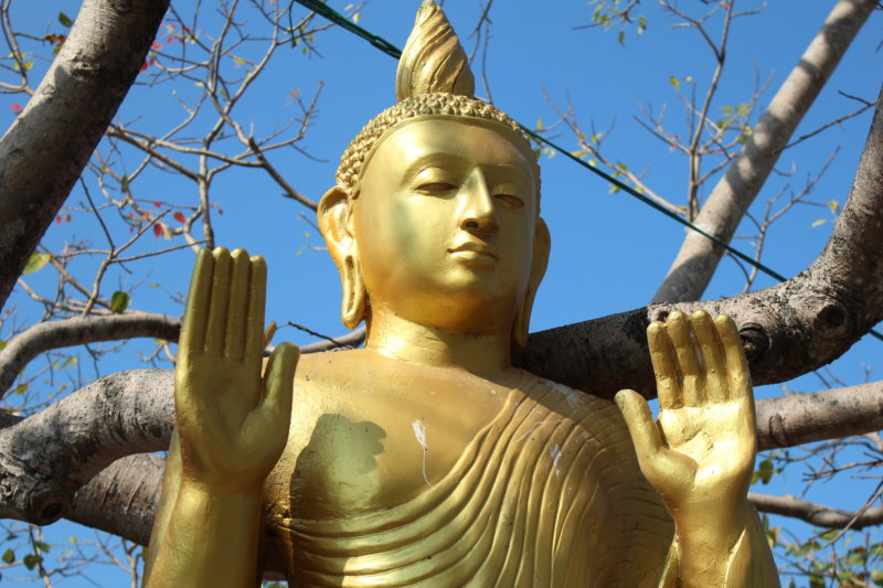 Statue, Sri Lanka