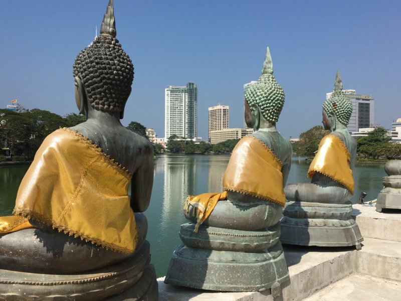 Dreaming about travel: Buddha statues in Colombo
