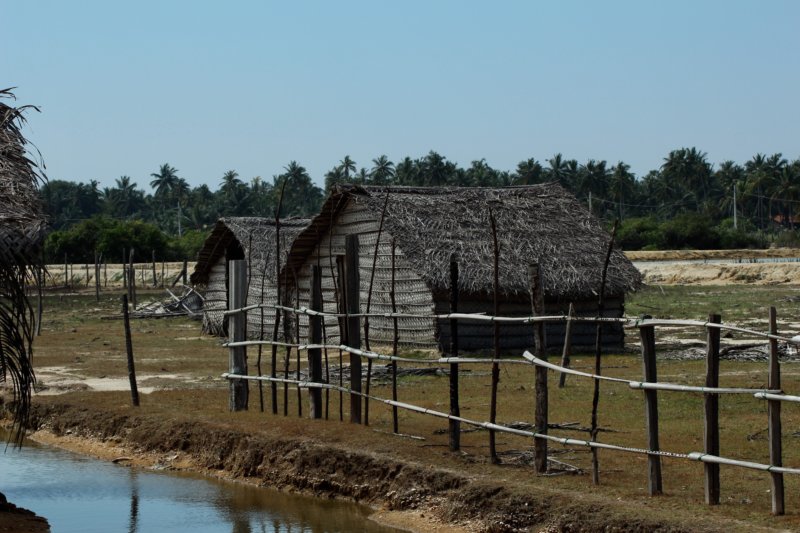 Fisherman's huts in Kalpitiya